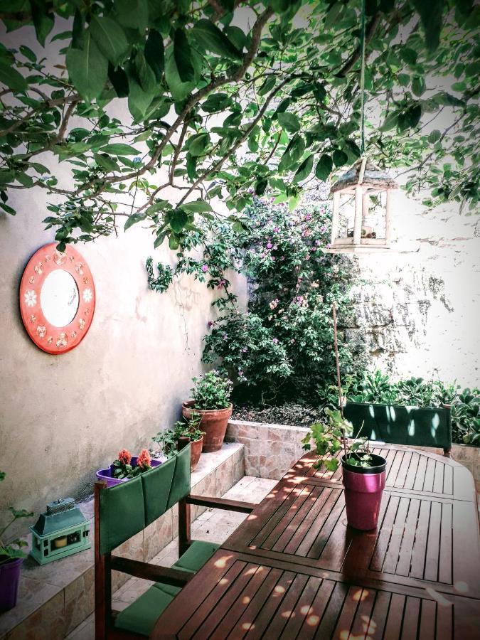 Bed and Breakfast La Collina Dei Ciliegi à Sarule Extérieur photo